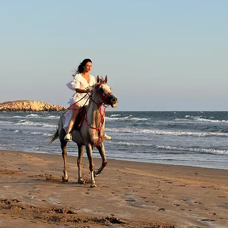 Grande Kalkan 别墅 *