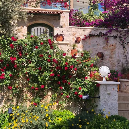 Grande Kalkan Каш