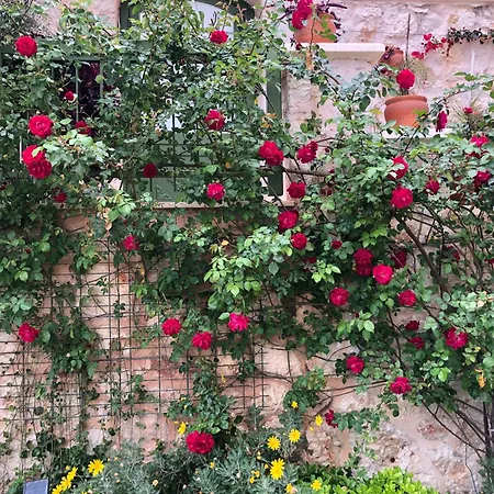 Grande Kalkan * Каш