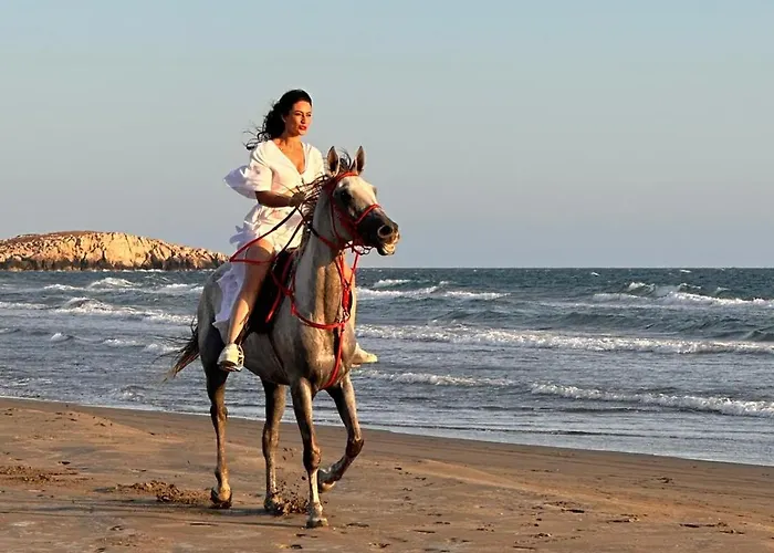 Grande Kalkan Vila *