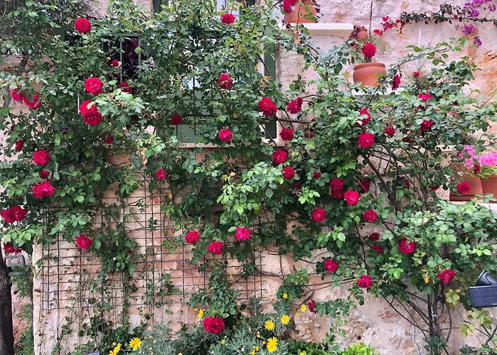 Grande Kalkan * Kaş